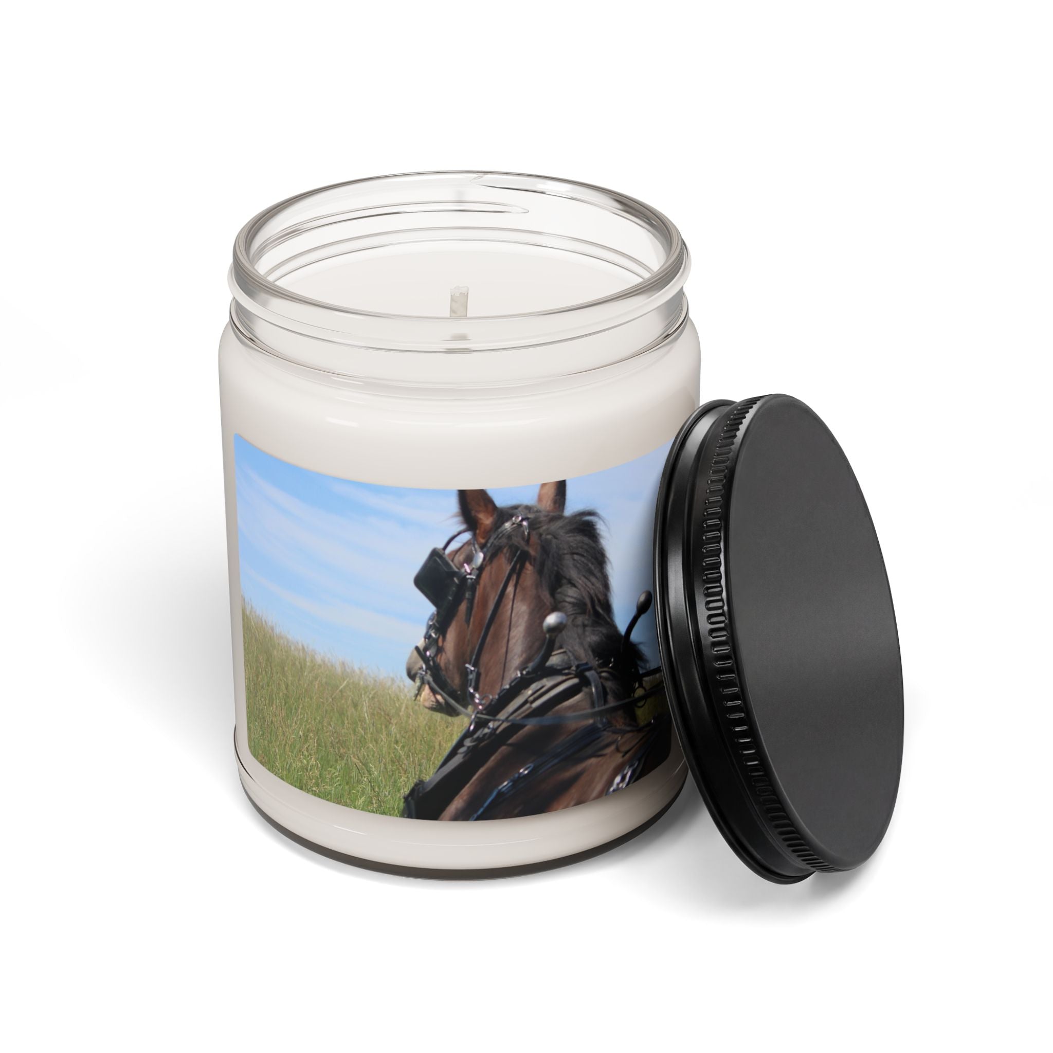 Scented Soy Candle, 9oz