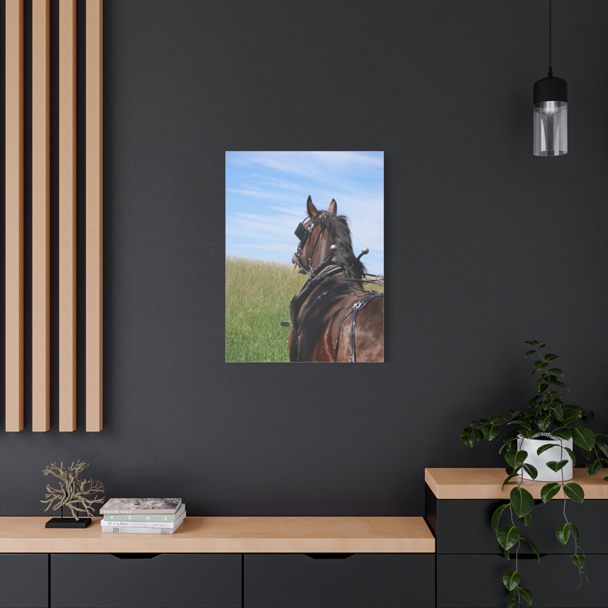 Clydesdale Field Drive- Canvas Print — Rustic Draft Horse Wall Art (Matte Stretched)