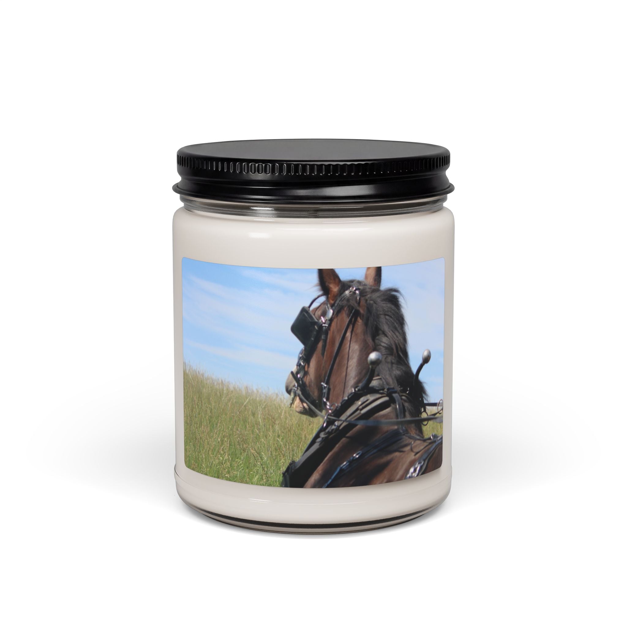 Scented Soy Candle, 9oz