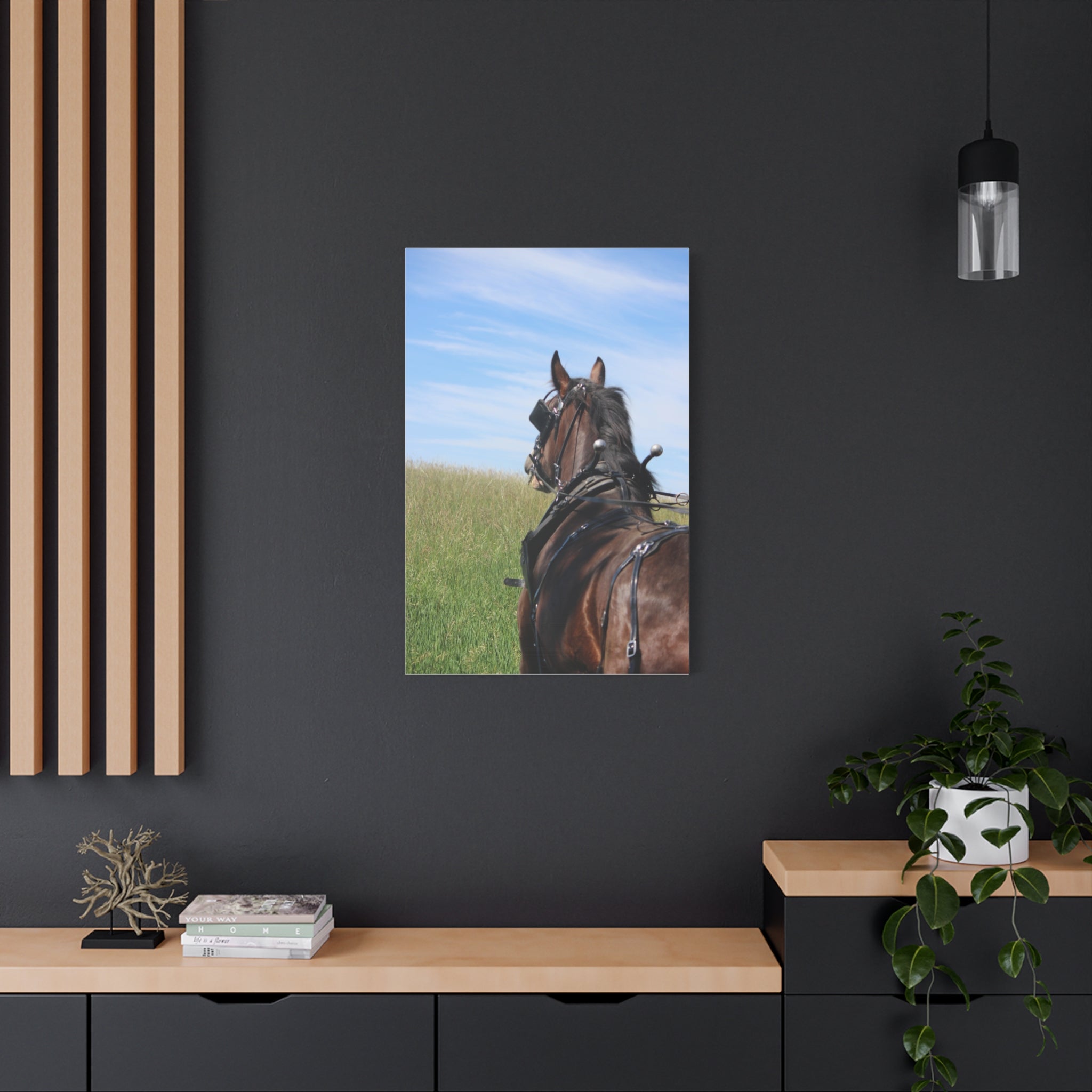 Clydesdale Field Drive- Canvas Print — Rustic Draft Horse Wall Art (Matte Stretched)