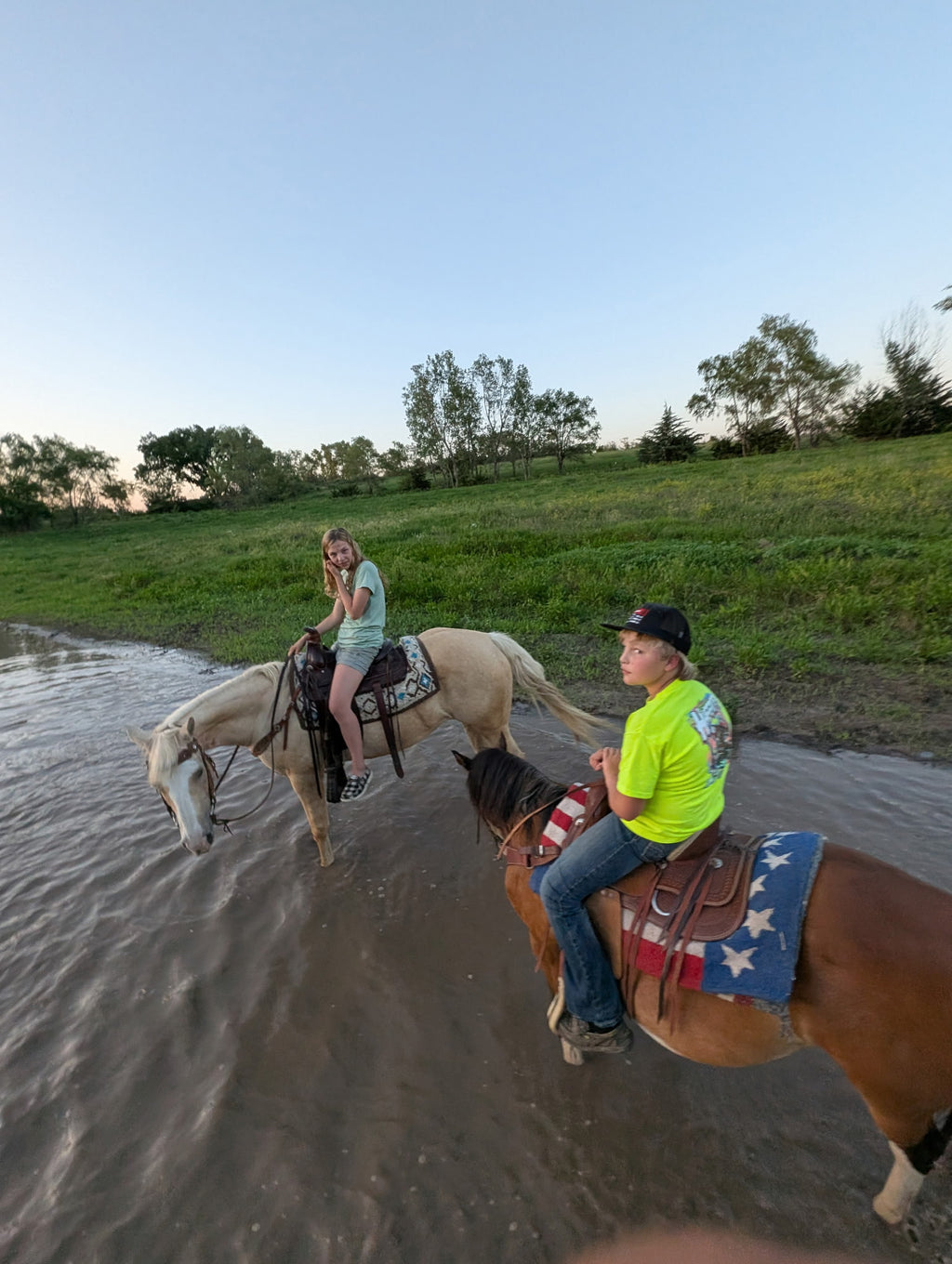 Cali - Grade QH Mare