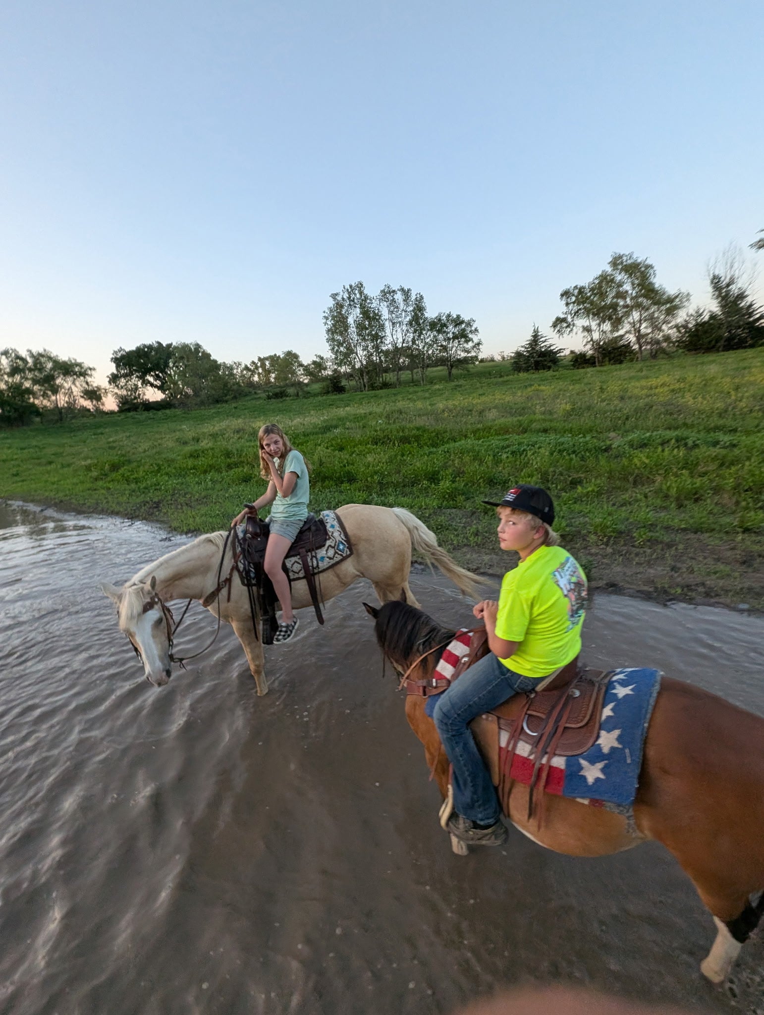Cali - Grade QH Mare