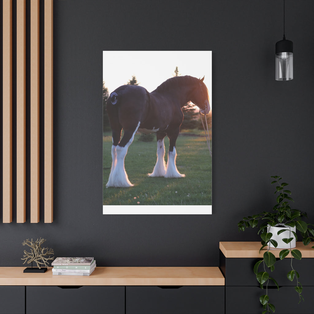 Clydesdale Horse Sunset Matte Canvas Print — Stretched Wall Art ("Print it your way")