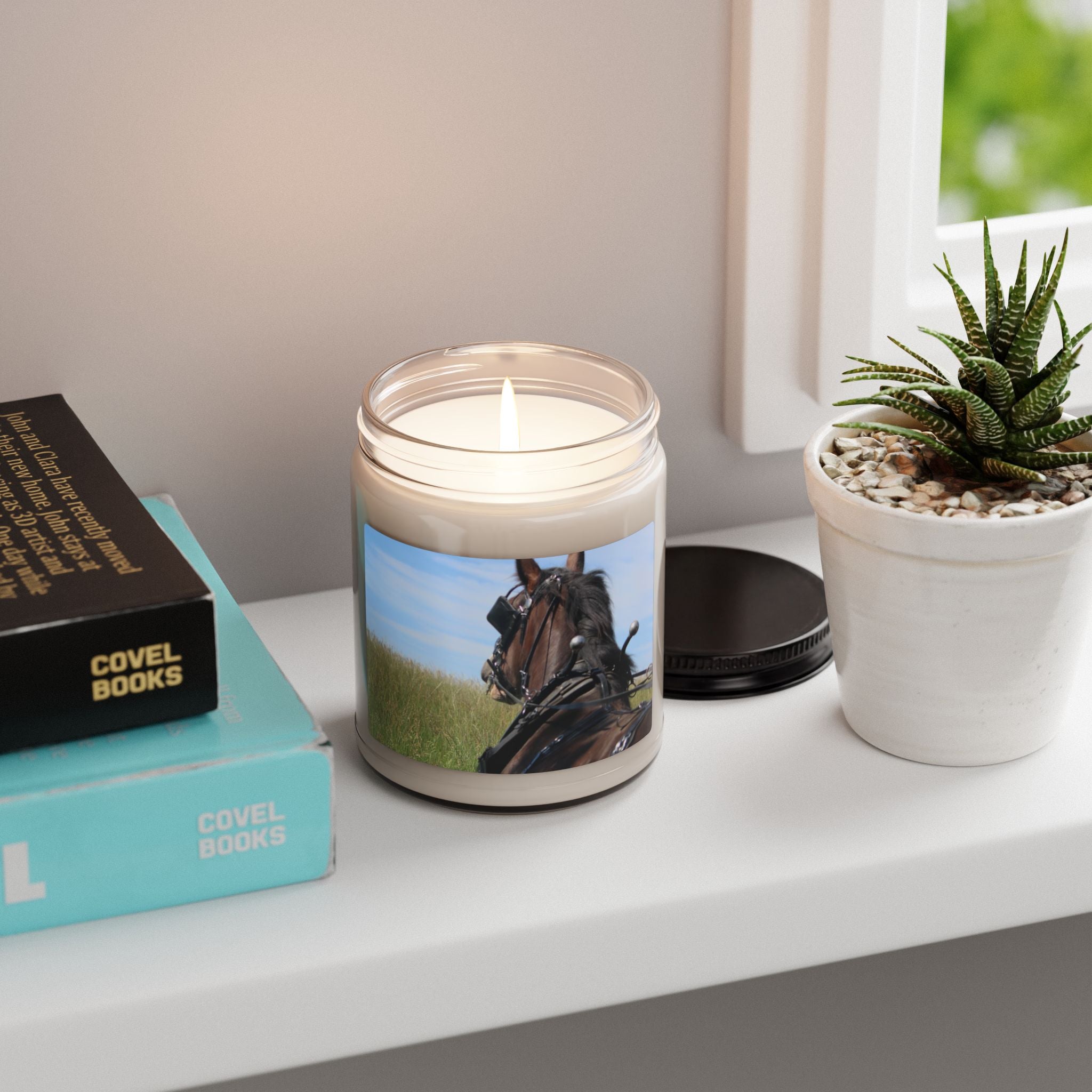Scented Soy Candle, 9oz
