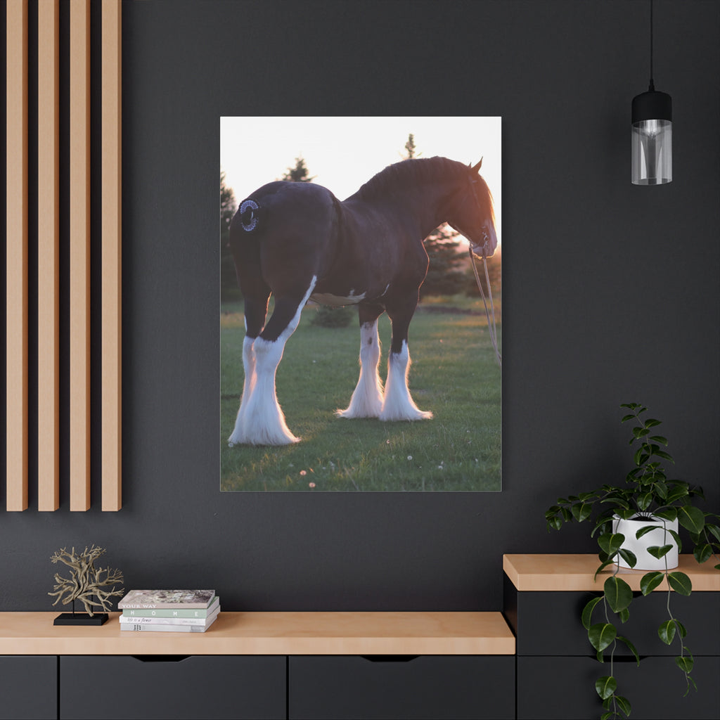 Clydesdale Horse Sunset Matte Canvas Print — Stretched Wall Art ("Print it your way")
