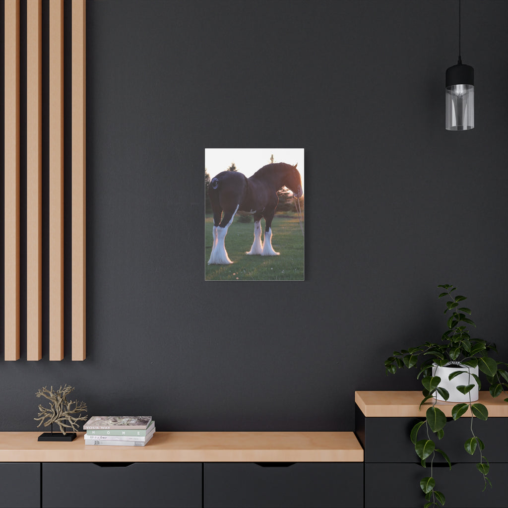 Clydesdale Horse Sunset Matte Canvas Print — Stretched Wall Art ("Print it your way")
