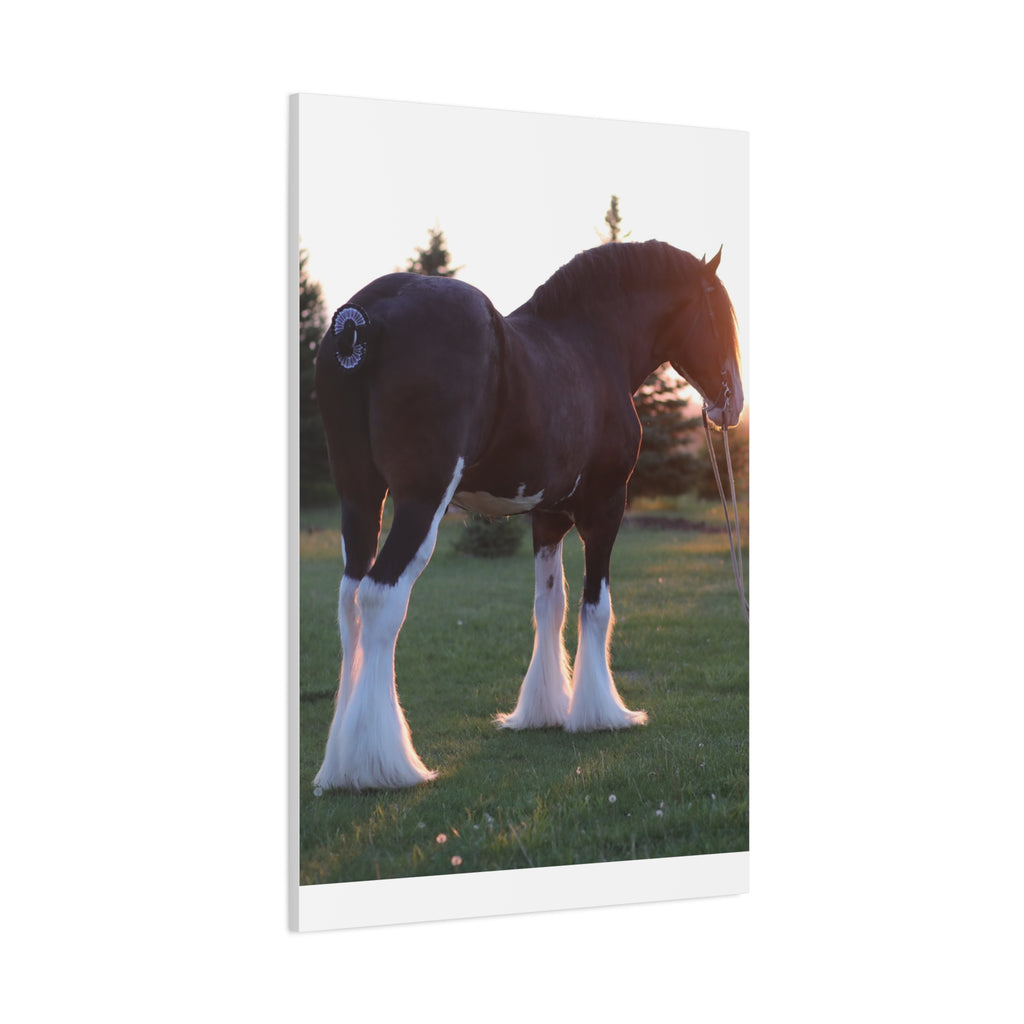 Clydesdale Horse Sunset Matte Canvas Print — Stretched Wall Art ("Print it your way")