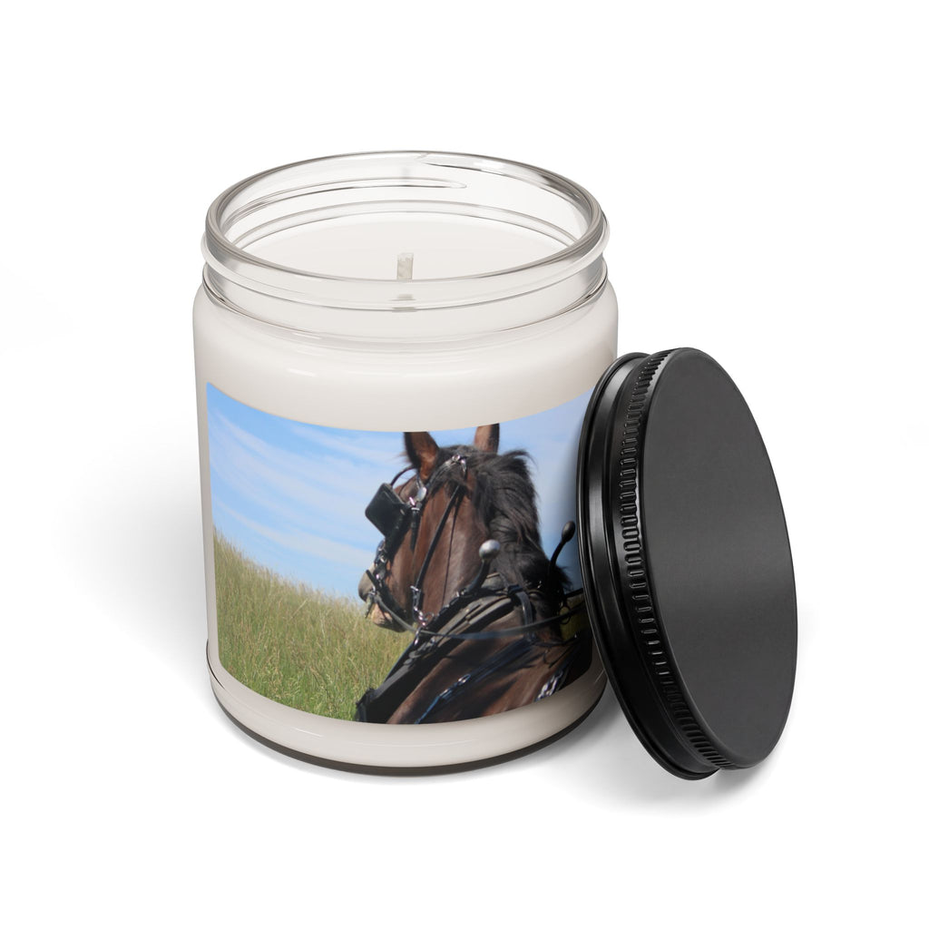 Scented Soy Candle, 9oz