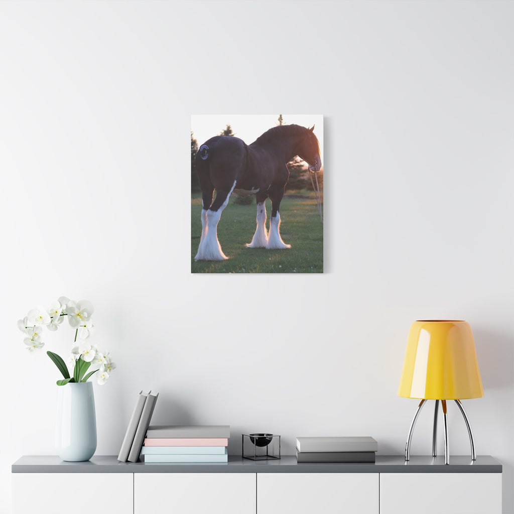 Clydesdale Horse Sunset Matte Canvas Print — Stretched Wall Art ("Print it your way")