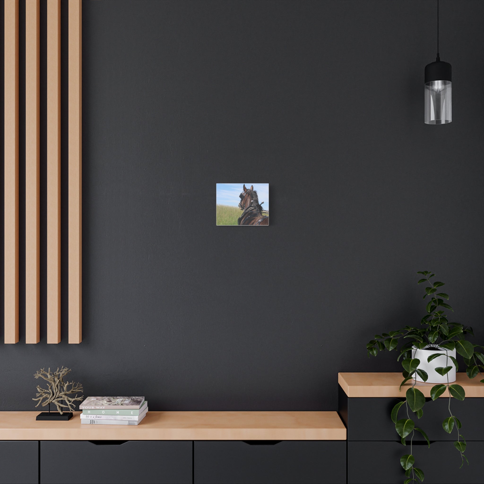 Clydesdale Field Drive- Canvas Print — Rustic Draft Horse Wall Art (Matte Stretched)