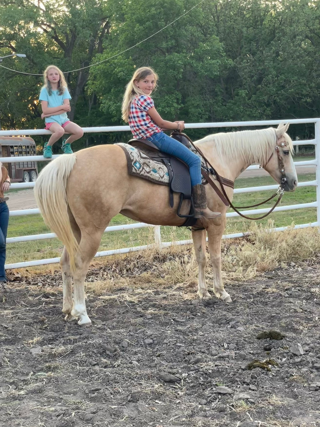 Cali - Grade QH Mare