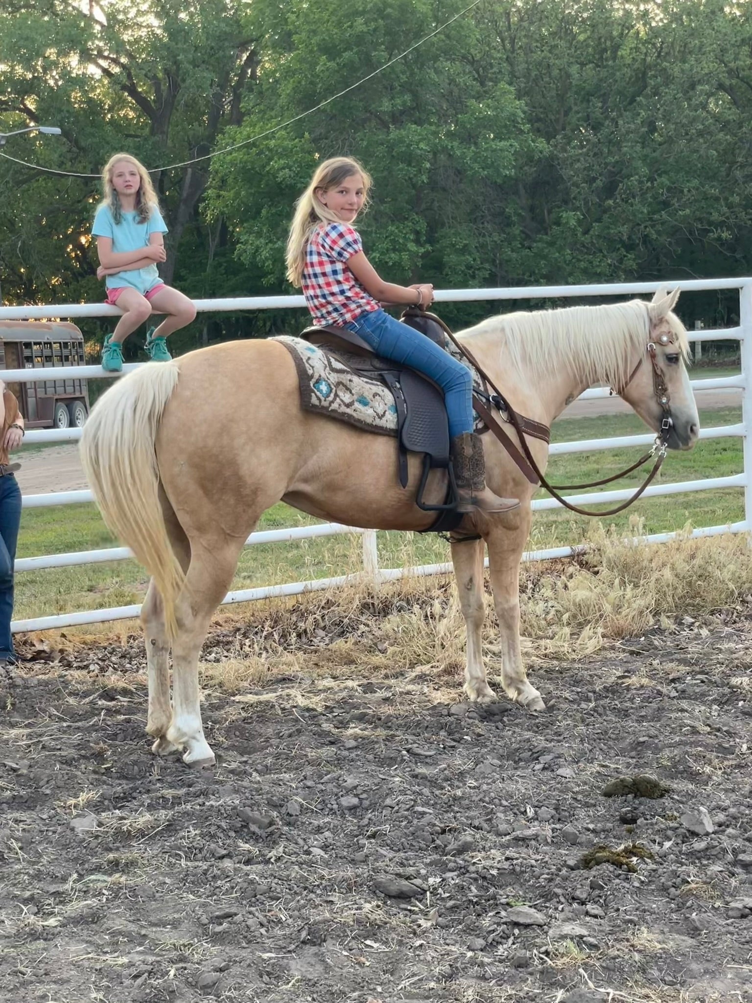 Cali - Grade QH Mare