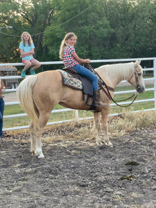 Cali - Grade QH Mare