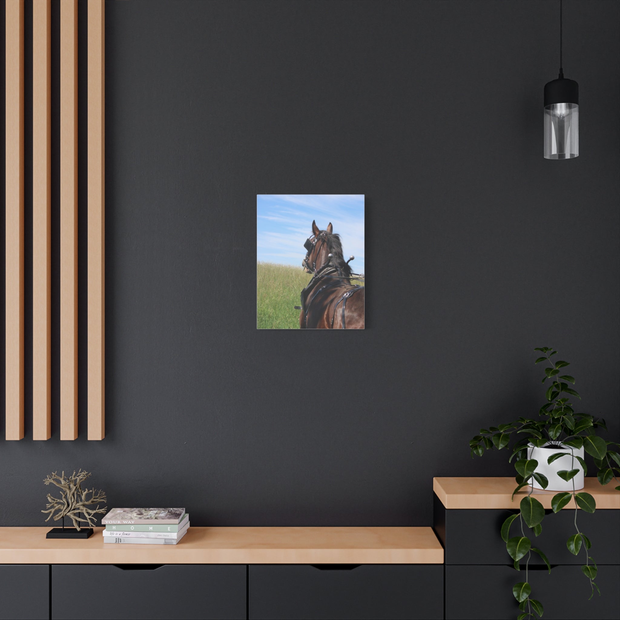 Clydesdale Field Drive- Canvas Print — Rustic Draft Horse Wall Art (Matte Stretched)