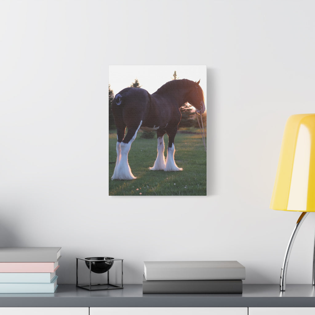 Clydesdale Horse Sunset Matte Canvas Print — Stretched Wall Art ("Print it your way")