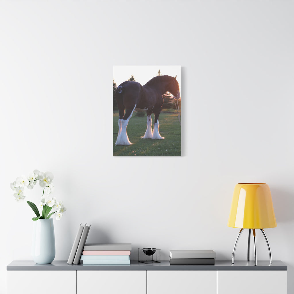 Clydesdale Horse Sunset Matte Canvas Print — Stretched Wall Art ("Print it your way")