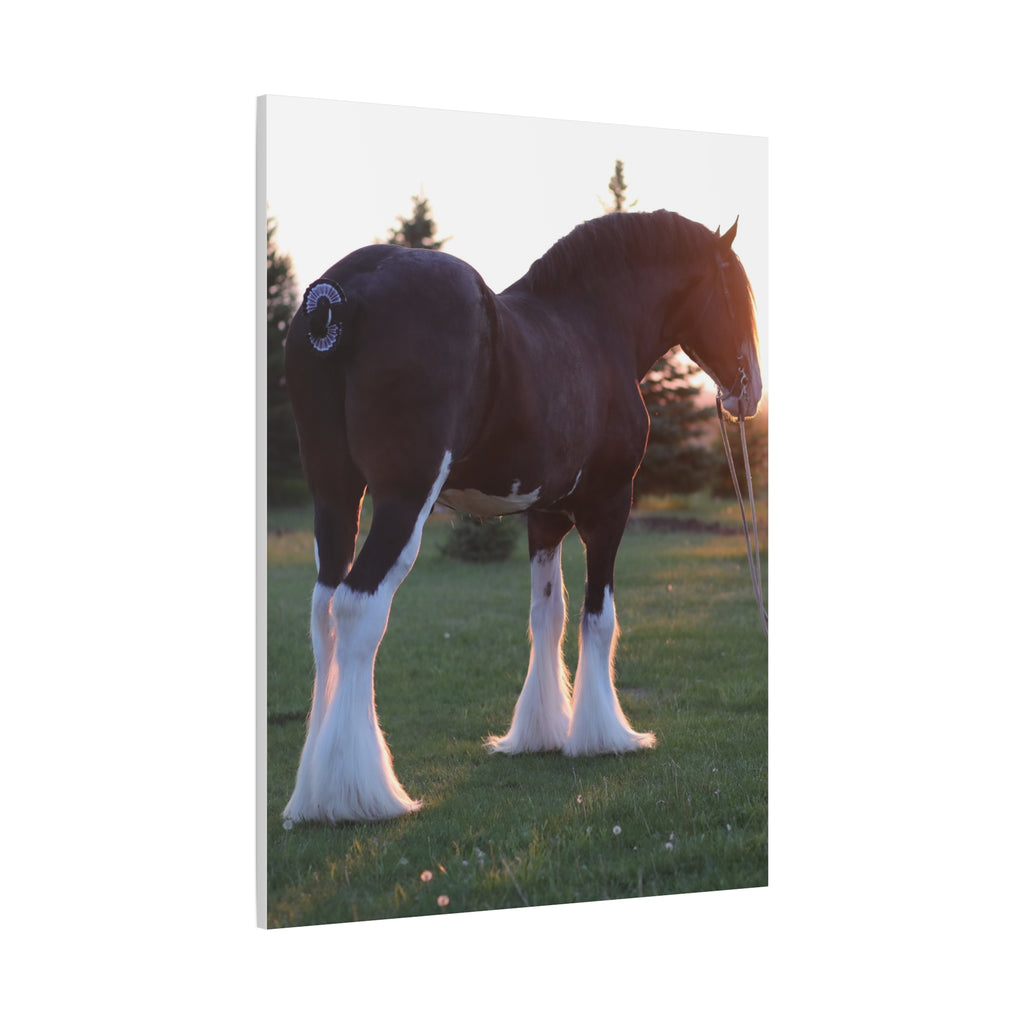 Clydesdale Horse Sunset Matte Canvas Print — Stretched Wall Art ("Print it your way")